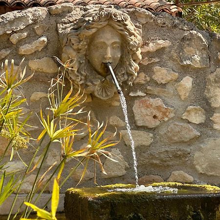 Mas Des Bambous Hotel Saint-Remy-de-Provence Ngoại thất bức ảnh