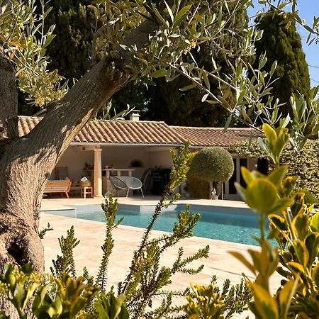 Mas Des Bambous Hotel Saint-Remy-de-Provence Ngoại thất bức ảnh