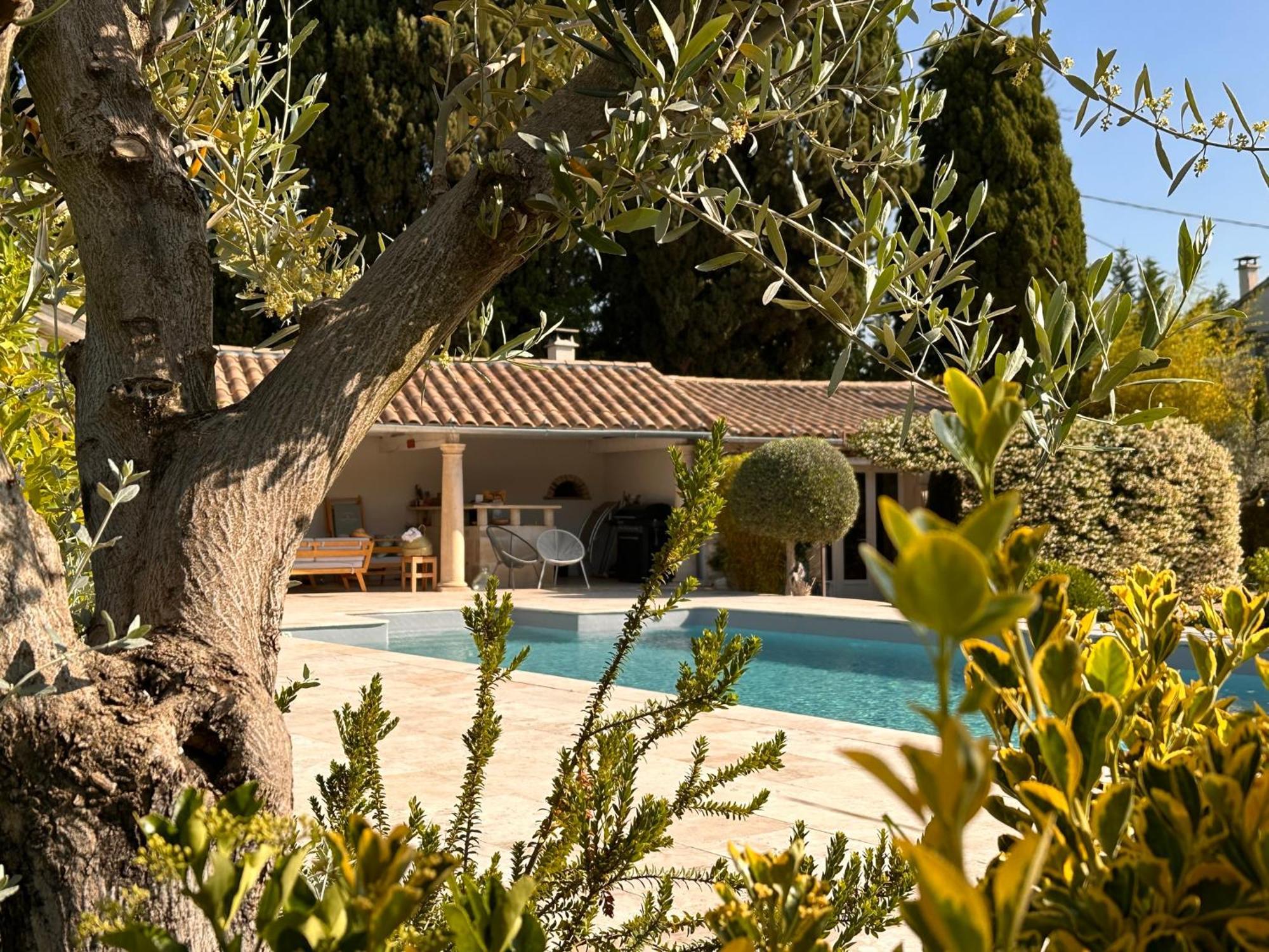 Mas Des Bambous Hotel Saint-Remy-de-Provence Ngoại thất bức ảnh