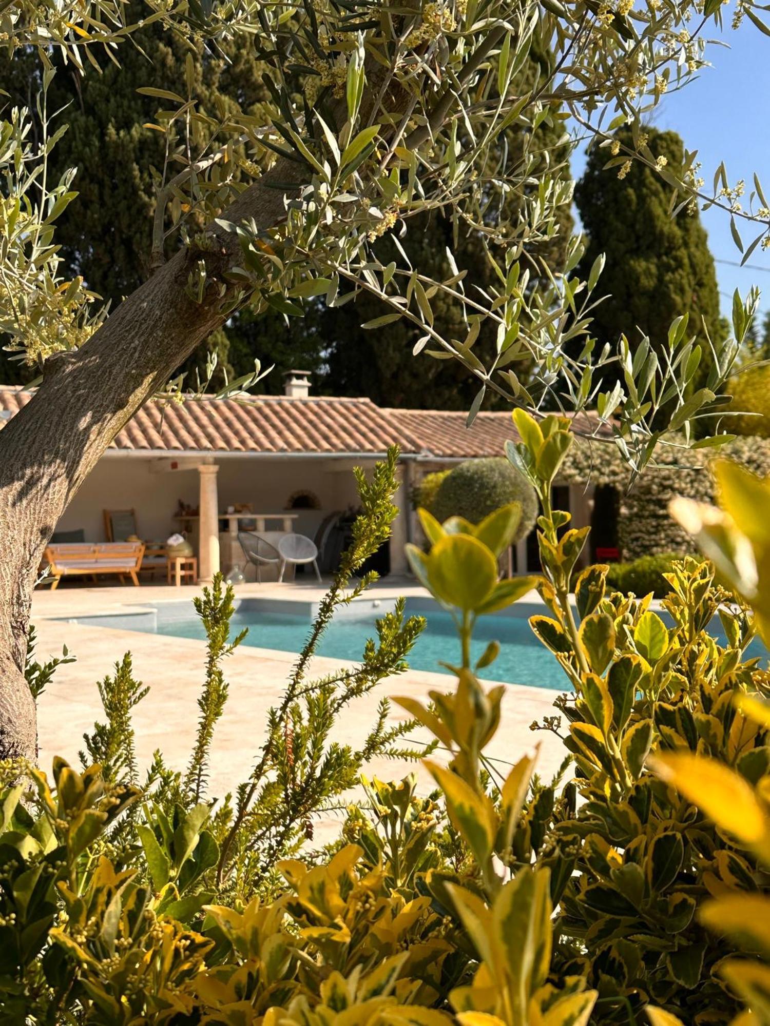 Mas Des Bambous Hotel Saint-Remy-de-Provence Ngoại thất bức ảnh