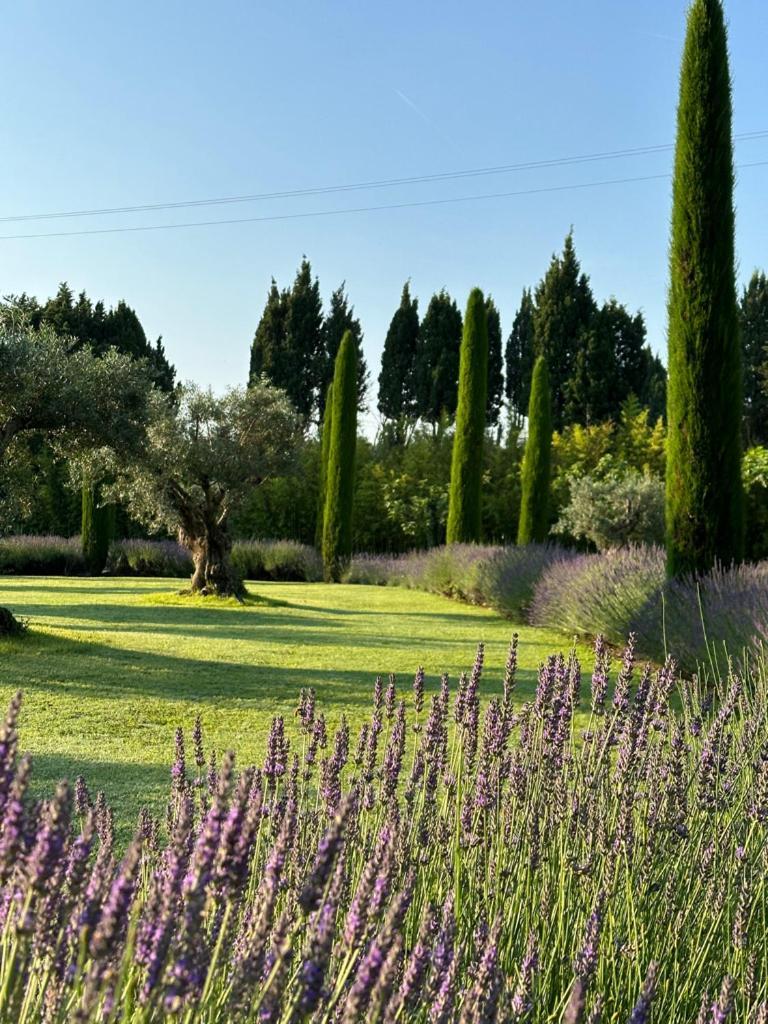 Mas Des Bambous Hotel Saint-Remy-de-Provence Ngoại thất bức ảnh