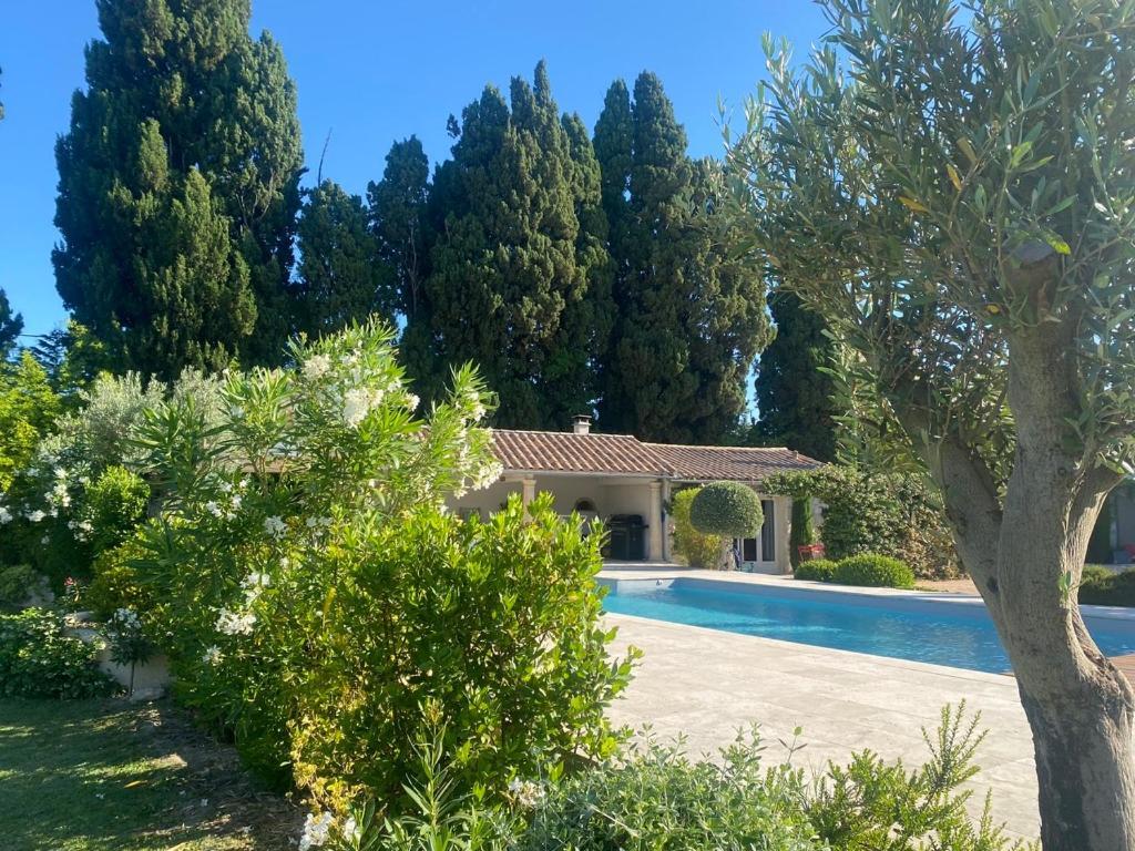 Mas Des Bambous Hotel Saint-Remy-de-Provence Ngoại thất bức ảnh