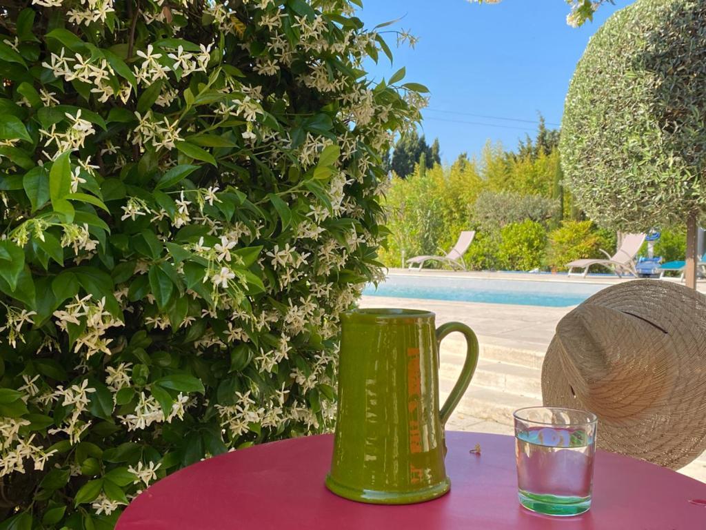 Mas Des Bambous Hotel Saint-Remy-de-Provence Ngoại thất bức ảnh